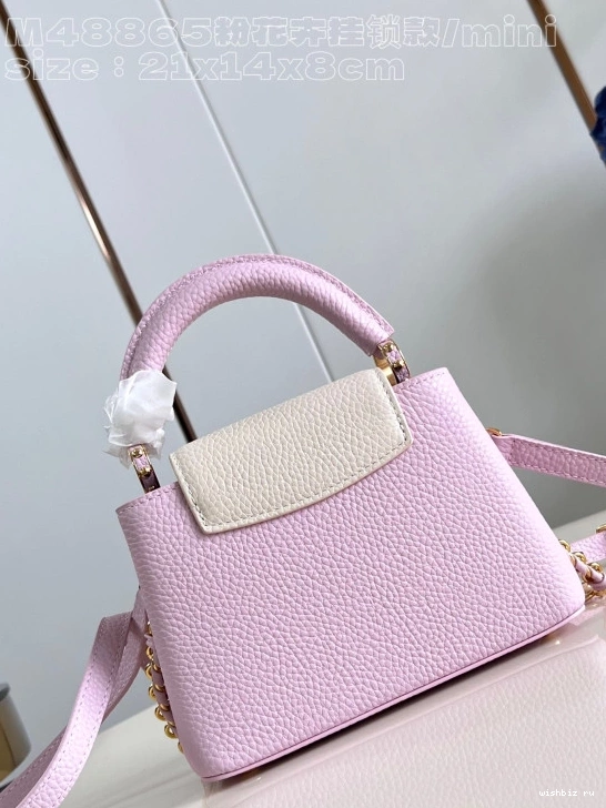 WIS VUITTON MINI-21*14*8CM LOUIS CAPUCINES 0724